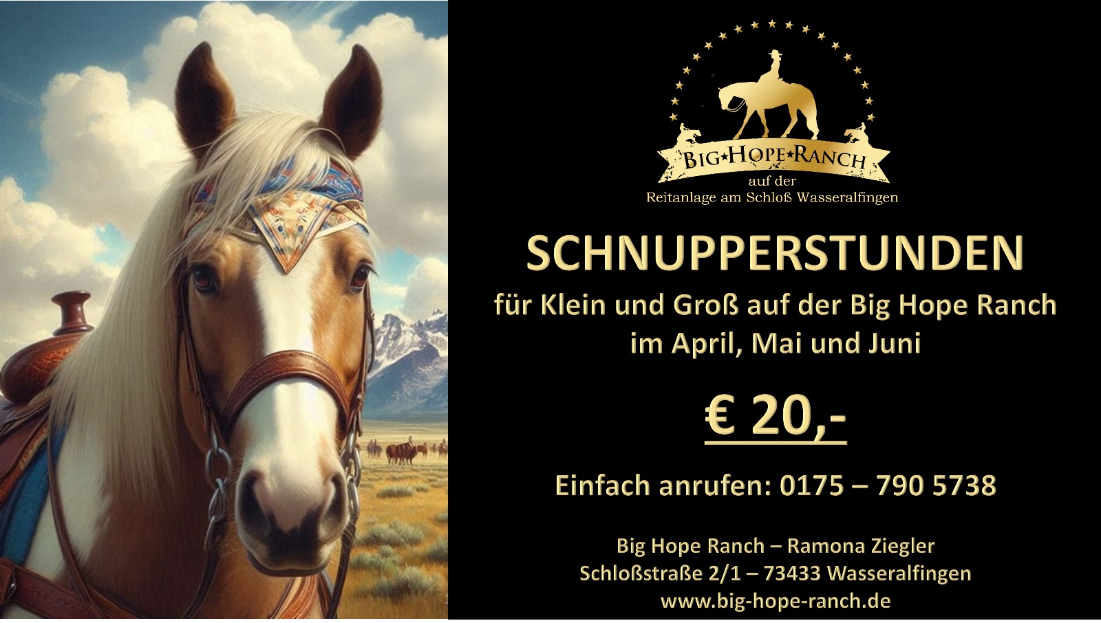 Angebot: Schnupperstunden Westernreiten von April bis Juni